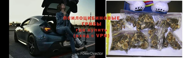 бутират Алзамай
